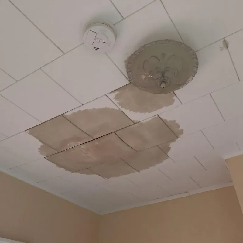 Ceiling Water Damage Repair in Angola, NY